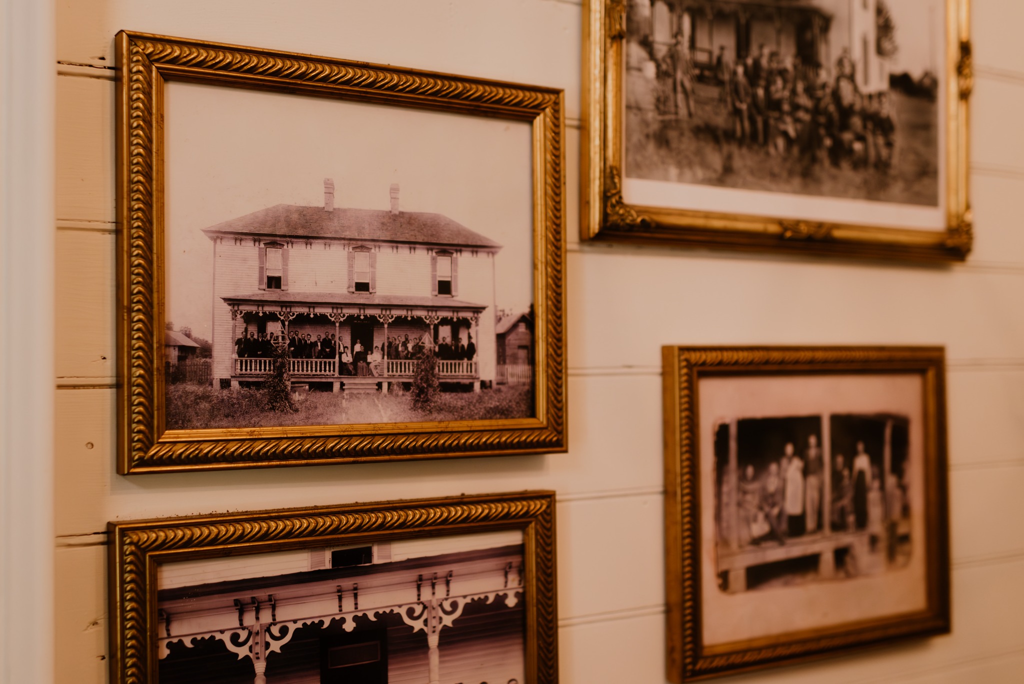 Photography at the Estate, photo 2