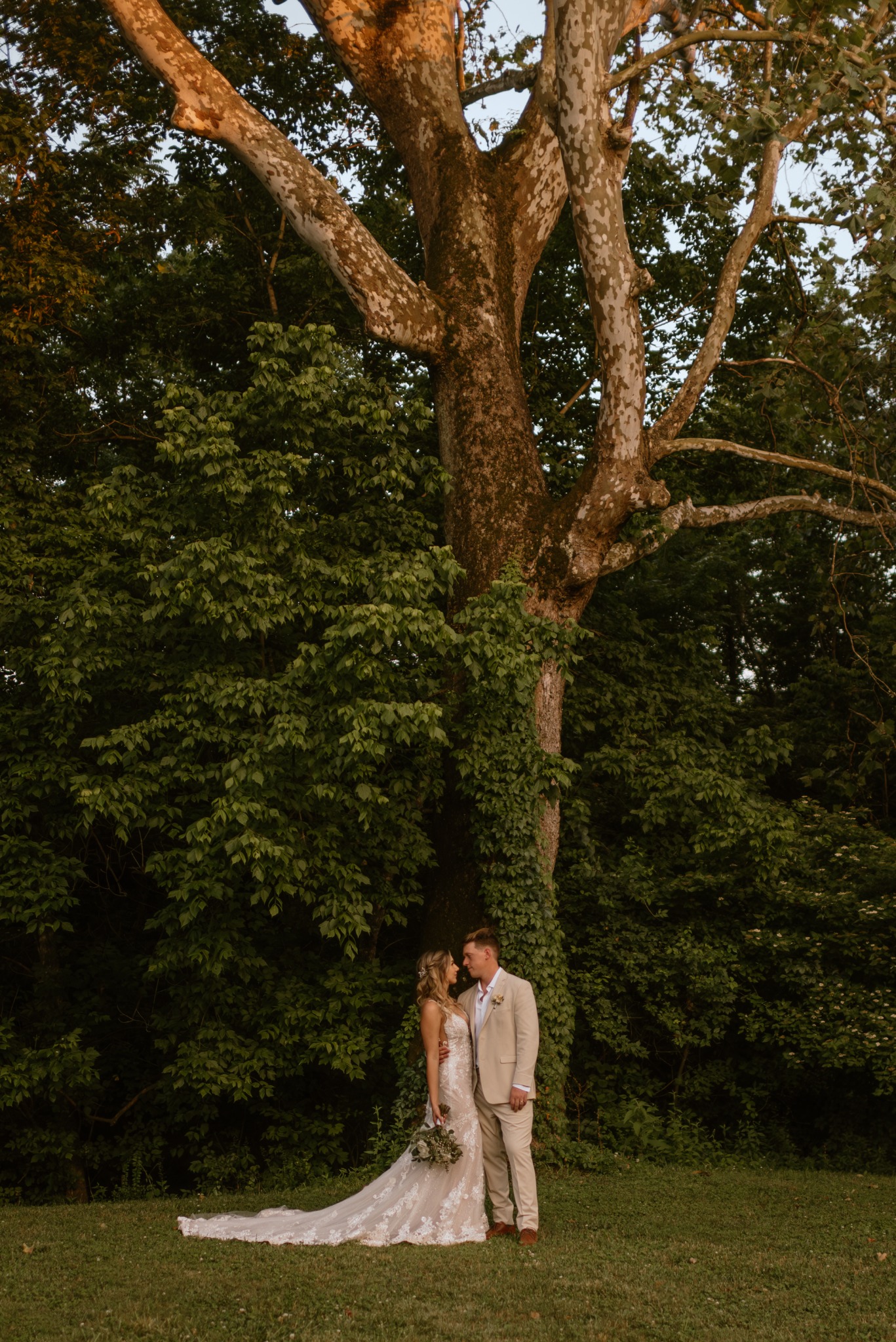 Couple photographed beneath a towering tree on the Grounds at Blue Spring Estate