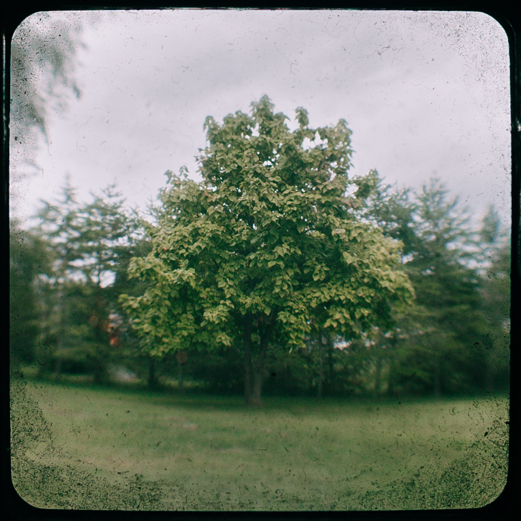 Photography on the Grounds at Blue Spring Estate, photo 7
