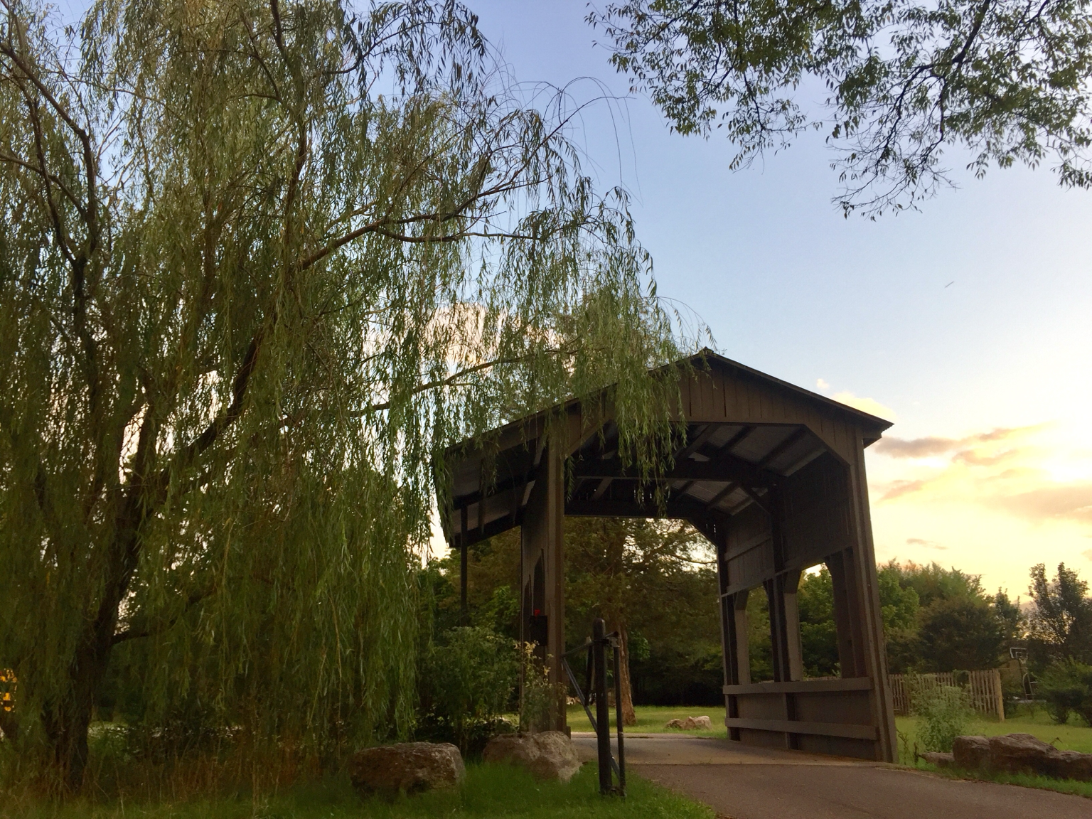Photography at Blue Spring Estate, photo 15