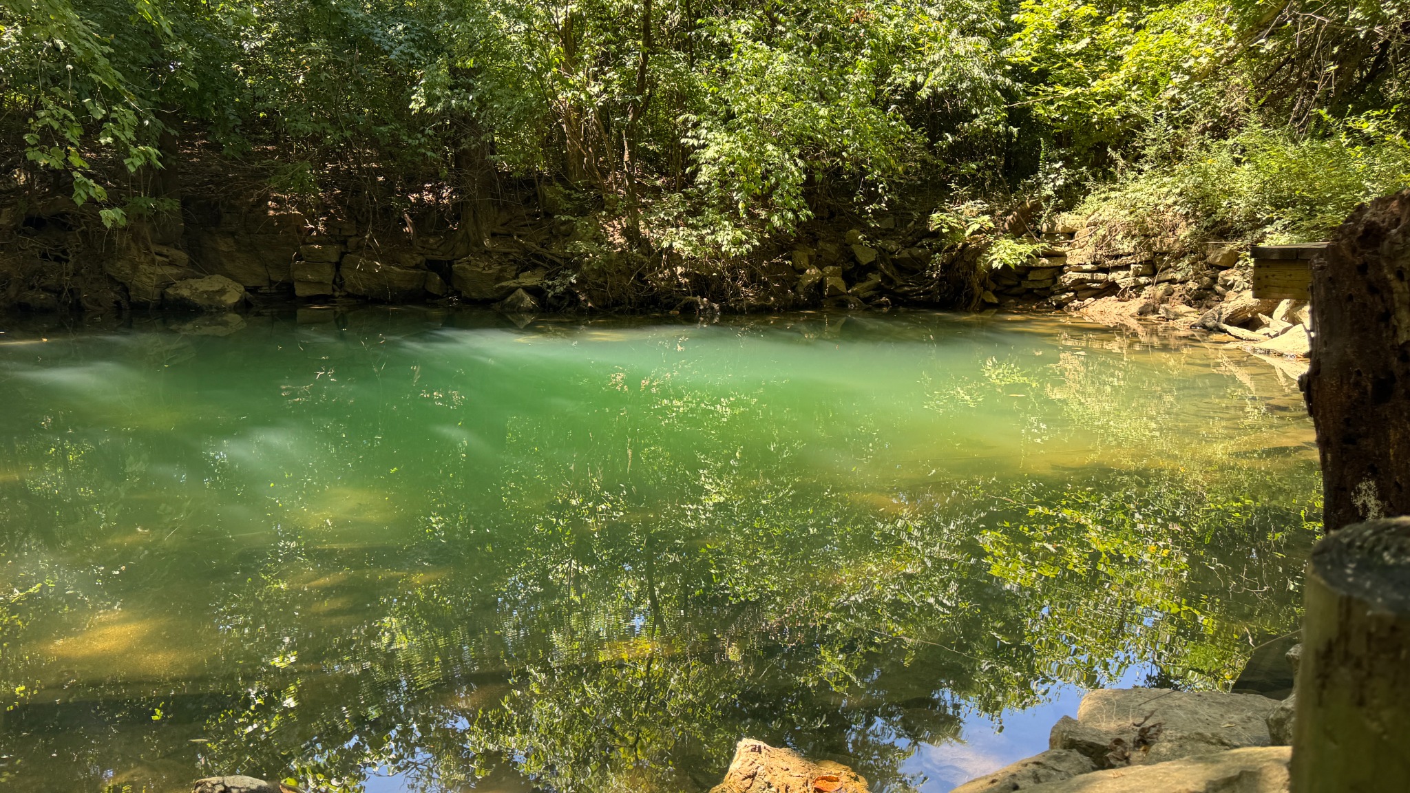 Photography at Blue Spring Estate, photo 16