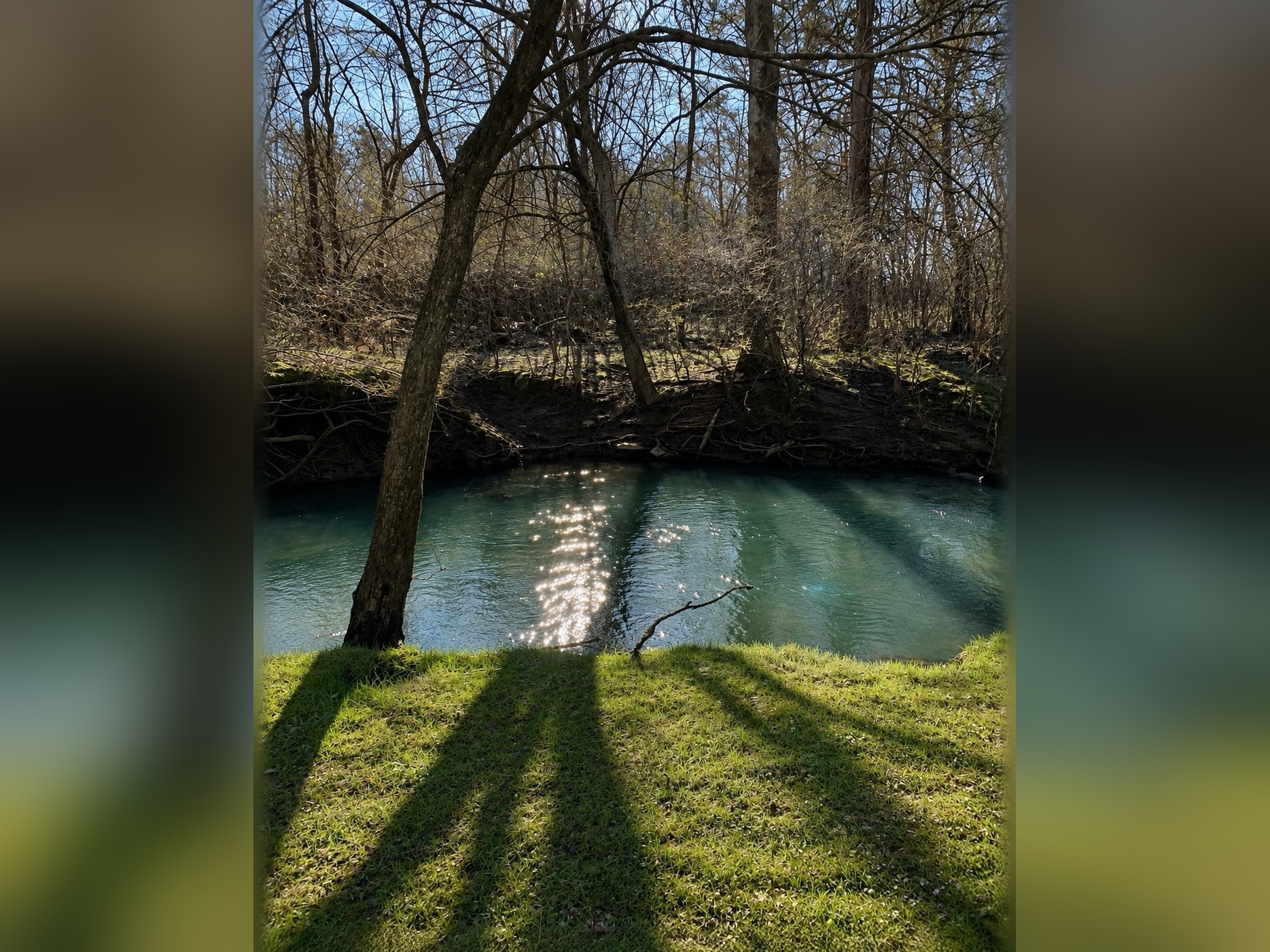 Photography at Blue Spring Estate, photo 21