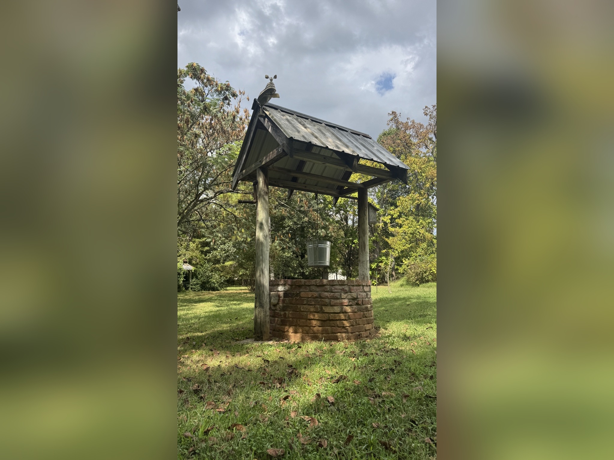Photography at Blue Spring Estate, photo 26